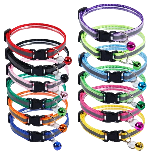 Collier pour Chihuahua avec grelots de plusieurs couleurs. Elรฉgant, pour offrir confort et sรฉcuritรฉ ร votre petit chien ou chat