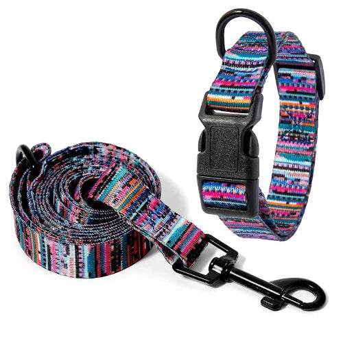 Collier pour Chihuahua en tissu motifs colorรฉs et une laisse. Tendance, pour offrir confort et sรฉcuritรฉ ร votre petit chien ou chat