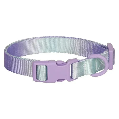 Collier pour Chihuahua en tissu violet dรฉgradรฉ avec attache. Tendance, pour offrir confort et sรฉcuritรฉ ร votre petit chien ou chat