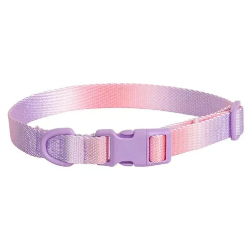 Collier pour Chihuahua en tissu rose et violet avec attache. Tendance, pour offrir confort et sรฉcuritรฉ ร votre petit chien ou chat