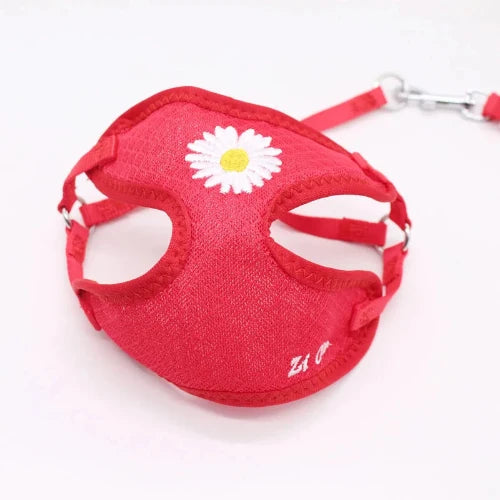 Collier pour Chihuahua : harnais rouge avec motifs fleurs et une laisse. Tendance, pour offrir confort et sécurité à votre petit chien ou chat