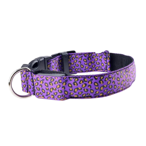 Collier pour chiens violet aux motifs Léopard avec éclairage LED. Confortable, convient aux petits chiens, chihuahuas, ou aux chats. Vendu dans la boutique « Mon Petit Chihuahua »
