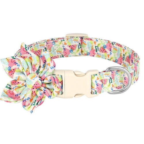 Collier pour Chihuahua en tissu colorรฉ avec motifs fleurs. Tendance, pour offrir confort et sรฉcuritรฉ ร votre petit chien ou chat