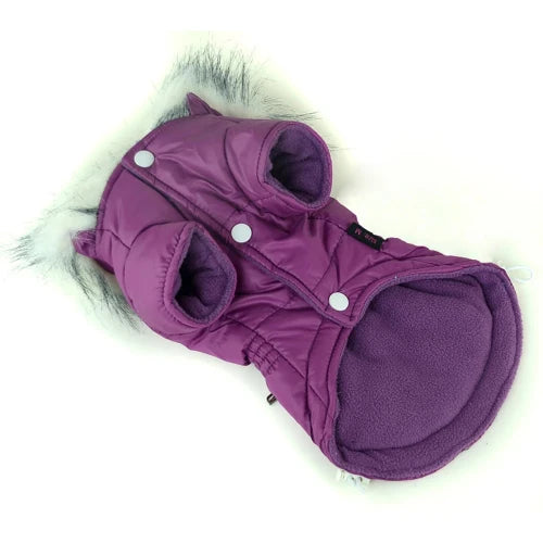Manteau pour Chihuahua - Doudoune flashy violette – Pafaite pour garder votre petit chien ou chat au chaud - face de face