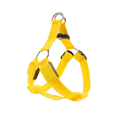 Harnais jaune lumineux LED pour petit chien. Rรฉglable et confortable, convient aux petits chiens, chihuahuas, ou aux chats.