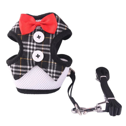 Harnais pour chiens en forme de petit smoking noir à carreaux avec sa laisse assortie. Confortable, convient aux petits chiens, chihuahuas, ou aux chats. Vendu dans la boutique « Mon Petit Chihuahua »