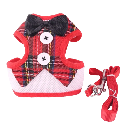 Harnais pour chiens en forme de petit smoking rouge avec sa laisse assortie. Confortable, convient aux petits chiens, chihuahuas, ou aux chats. Vendu dans la boutique « Mon Petit Chihuahua »