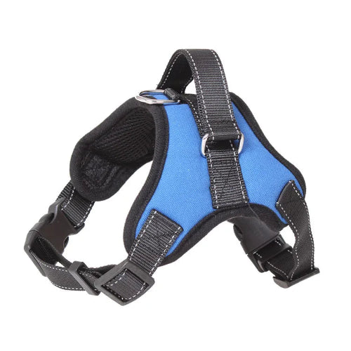 Harnais renforcรฉ bleu et noir pour petit chien. Rรฉglable et confortable, convient aux petits chiens, chihuahuas, ou aux chats.