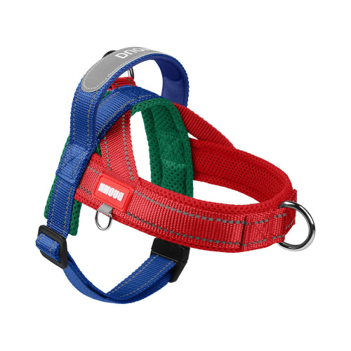 Harnais rรฉsistant bleu et rouge pour chiens. Confortable, convient aux petits chiens, chihuahuas, ou aux chats. Vendu dans la boutique ยซย Mon Petit Chihuahuaย ยป