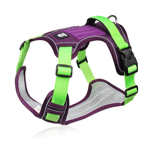 Harnais pour chiens rรฉsistant violet et vert. Confortable, convient aux petits chiens, chihuahuas, ou aux chats. Vendu dans la boutique ยซย Mon Petit Chihuahuaย ยป