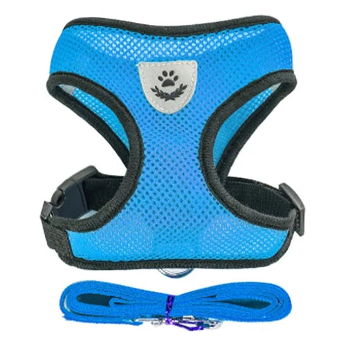 Harnais et laisse bleus pour Chihuahua โ Confortables et rรฉsistants, parfaits pour promener votre petit chien ou chat