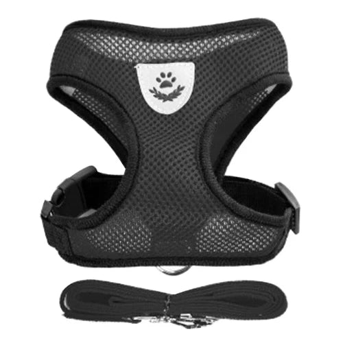 Harnais et laisse noirs pour Chihuahua โ Confortables et rรฉsistants, parfaits pour promener votre petit chien ou chat