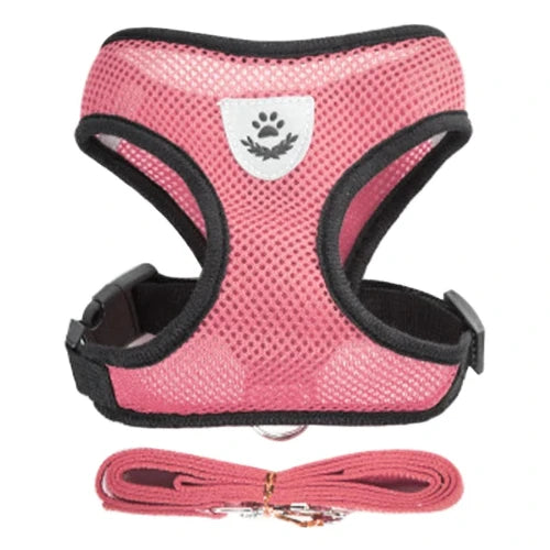 Harnais et laisse roses pour Chihuahua โ Confortables et rรฉsistants, parfaits pour promener votre petit chien ou chat