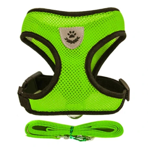 Harnais et laisse verts pour Chihuahua โ Confortables et rรฉsistants, parfaits pour promener votre petit chien ou chat