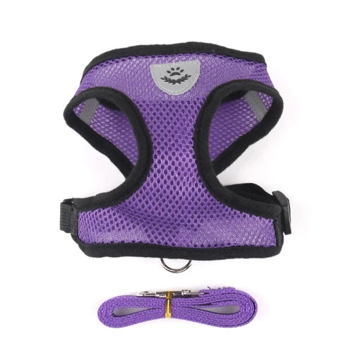 Harnais et laisse violets pour Chihuahua โ Confortables et rรฉsistants, parfaits pour promener votre petit chien ou chat