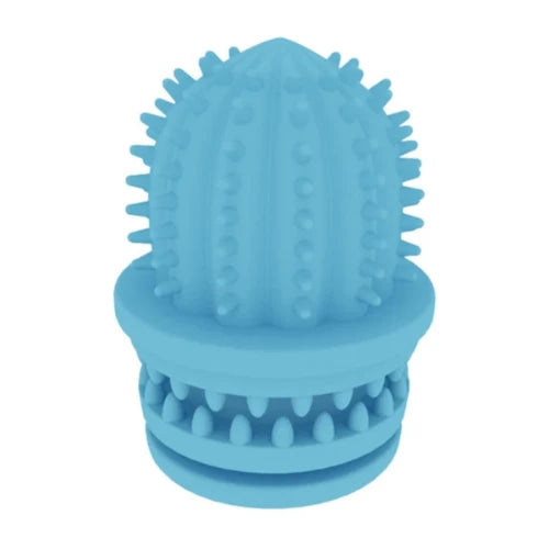 Jouet pour Chihuahua ร mรขcher en silicone en forme de cactus bleu โ Idรฉal pour stimuler et divertir votre petit chien ou chat