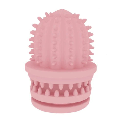 Jouet pour Chihuahua ร mรขcher en silicone en forme de cactus rose โ Idรฉal pour stimuler et divertir votre petit chien ou chat