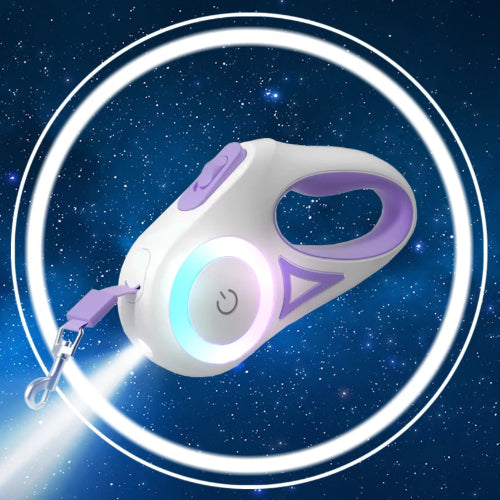 Double Laisse rétractable violette avec éclairage LED pour chiens. Pratique, convient aux petits chiens, chihuahuas, ou aux chats. Vendu dans la boutique « Mon Petit Chihuahua »