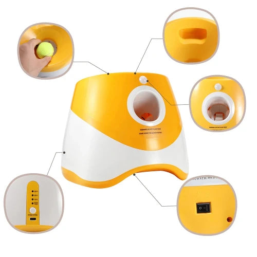 Jouet pour Chihuahua : lanceur automatique de balles de tennis – Idéal pour jouer avec votre petit chien ou chat - vue en détails