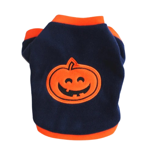 Pull pour Chihuahua noir avec motif citrouille halloween β Confortable, vΓͺtement parfait pour garder votre petit chien ou chat au chaud