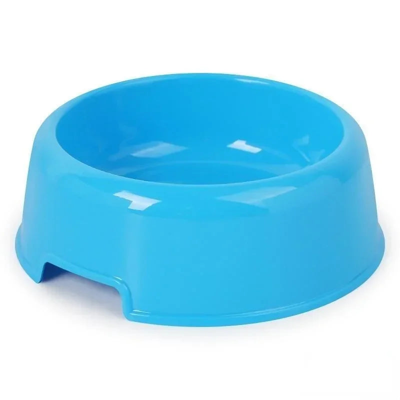 Dog Bowl: Small colorful plastic bowl