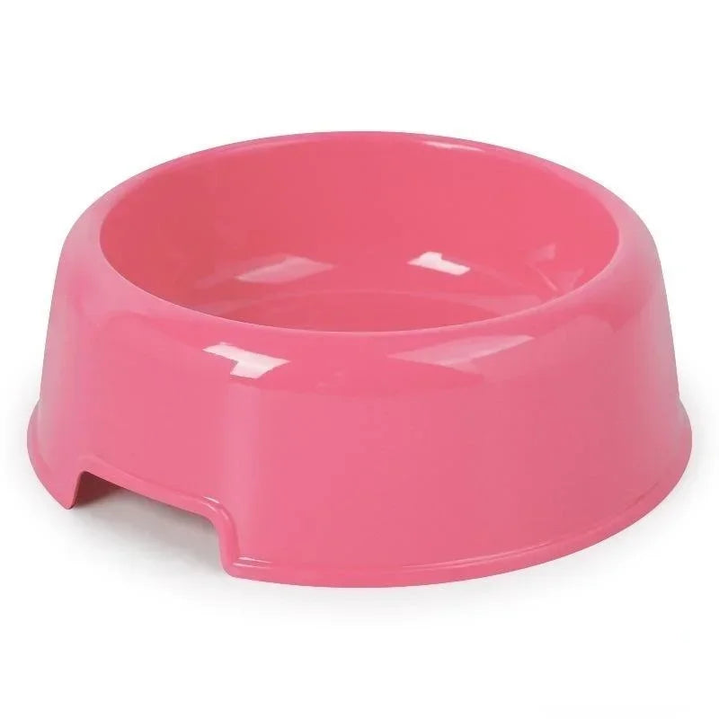 Dog Bowl: Small colorful plastic bowl