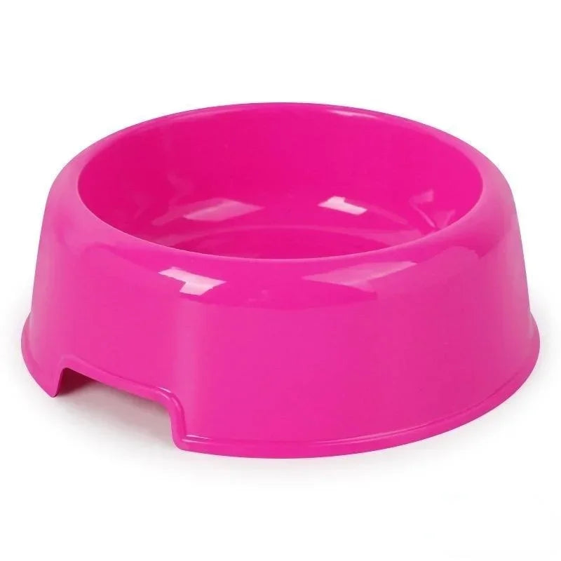 Dog Bowl: Small colorful plastic bowl