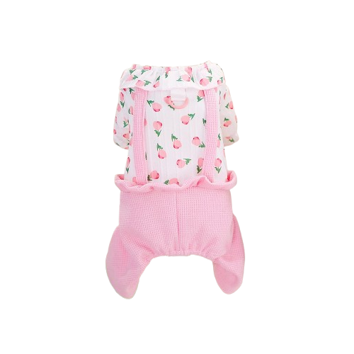 Salopette pour Chihuahua rose โ Vรชtement confortable, parfait pour habiller votre petit chien avec originalitรฉ et รฉlรฉgance