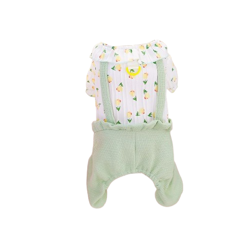 Salopette pour Chihuahua verte โ Vรชtement confortable, parfait pour habiller votre petit chien avec originalitรฉ et รฉlรฉgance