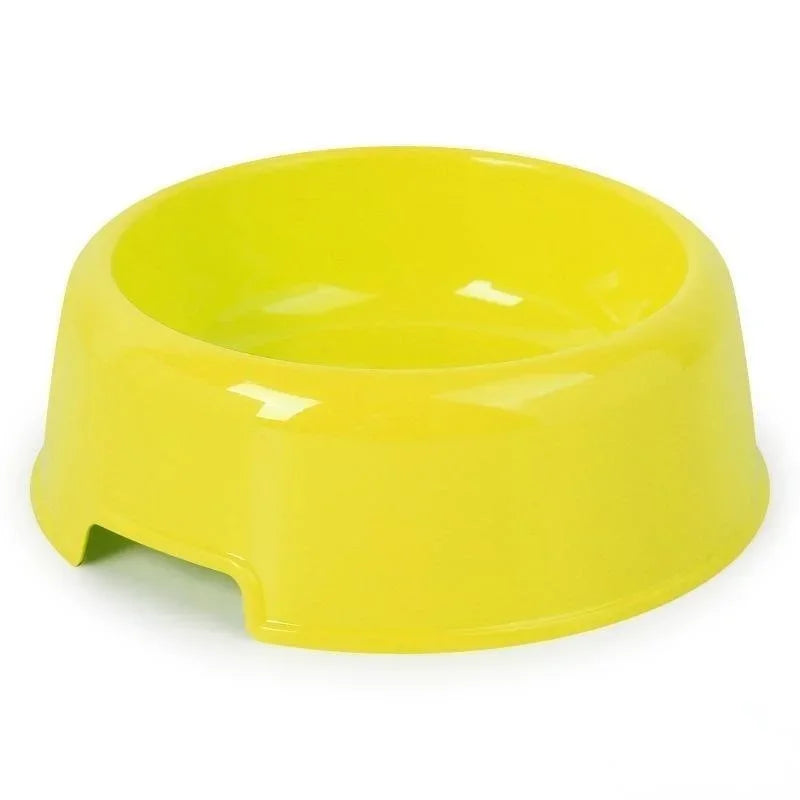 Dog Bowl: Small colorful plastic bowl