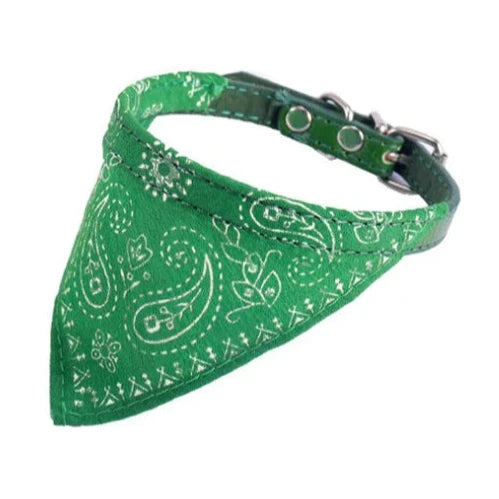 Déguisement Chihuahua : foulard vert confortable et tendance, parfait pour les fêtes, évènements, anniversaires ou Halloween – taille parfaite pour les petits chiens