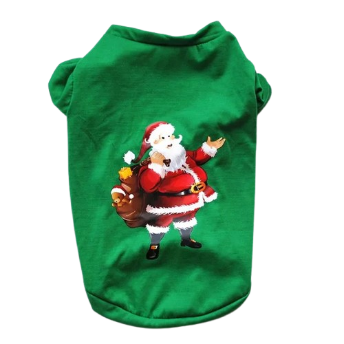 Pull pour Chihuahua vert motif pΓ¨re noΓ«l β Confortable, vΓͺtement parfait pour garder votre petit chien ou chat au chaud