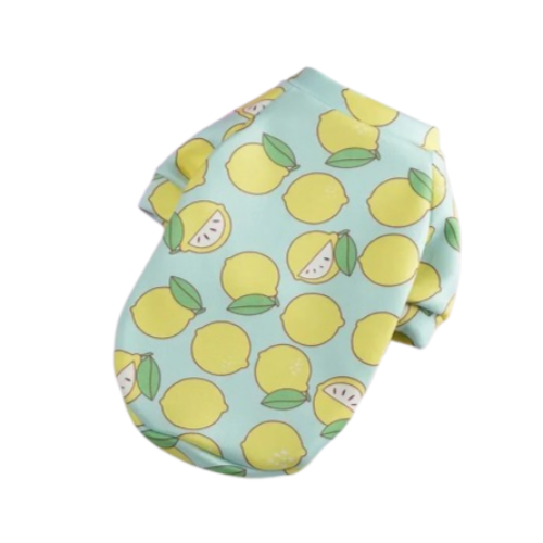 Pull pour Chihuahua bleu avec motifs citrons β Confortable, vΓͺtement parfait pour garder votre petit chien ou chat au chaud