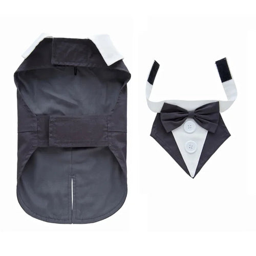 DΓ©guisement Chihuahua : costume smoking gris confortable et tendance, parfait pour les fΓͺtes, Γ©vΓ¨nements, anniversaires ou halloween β taille parfaite pour les petits chiens