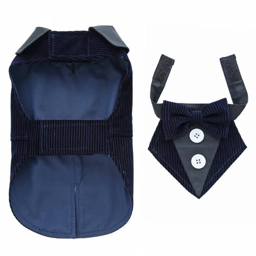 DΓ©guisement Chihuahua : costume smoking marine en velours confortable et tendance, parfait pour les fΓͺtes, Γ©vΓ¨nements, anniversaires ou halloween β taille parfaite pour les petits chiens