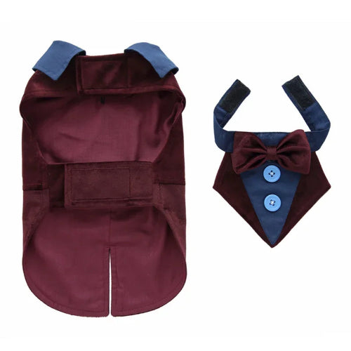 DΓ©guisement Chihuahua : costume smoking marron confortable et tendance, parfait pour les fΓͺtes, Γ©vΓ¨nements, anniversaires ou halloween β taille parfaite pour les petits chiens