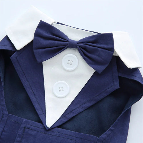 DΓ©guisement Chihuahua : costume smoking confortable et tendance, parfait pour les fΓͺtes, Γ©vΓ¨nements, anniversaires ou halloween β taille parfaite pour les petits chiens - vue du noeud papillon