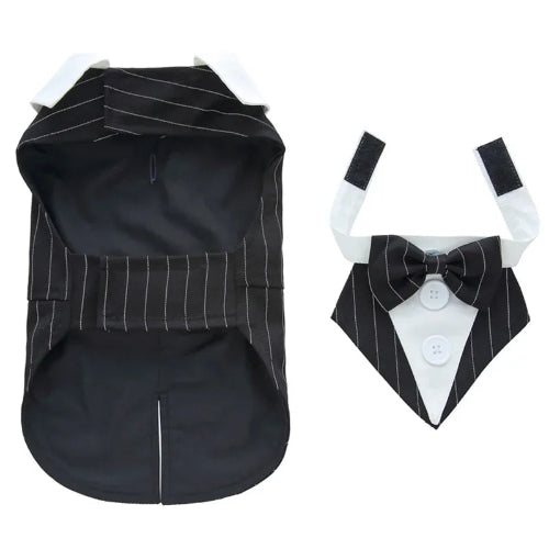 DΓ©guisement Chihuahua : costume smoking noir a rayures confortable et tendance, parfait pour les fΓͺtes, Γ©vΓ¨nements, anniversaires ou halloween β taille parfaite pour les petits chiens