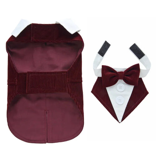 DΓ©guisement Chihuahua : costume smoking bordeaux confortable et tendance, parfait pour les fΓͺtes, Γ©vΓ¨nements, anniversaires ou halloween β taille parfaite pour les petits chiens