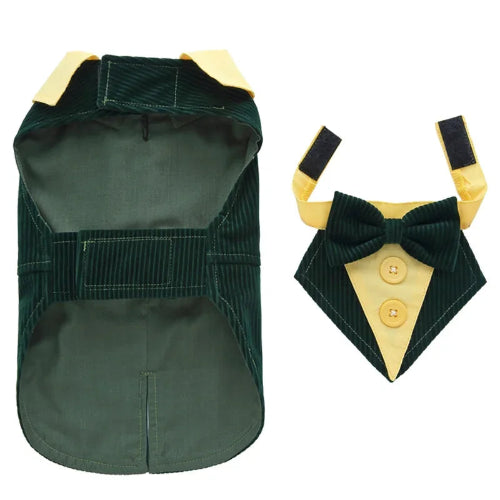 DΓ©guisement Chihuahua : costume smoking vert en velours confortable et tendance, parfait pour les fΓͺtes, Γ©vΓ¨nements, anniversaires ou halloween β taille parfaite pour les petits chiens