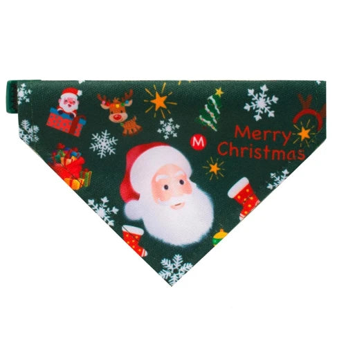 Christmas Chihuahua: Green Bandana