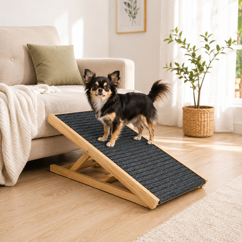 Rampe d'accès pour petit chien 🐶