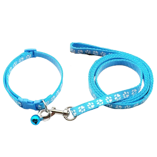 Collier Chihuahua : Collier + Laisse Colorés