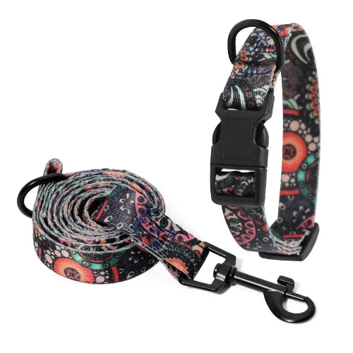 Collier Chihuahua : Collier + Laisse Motifs Colorés