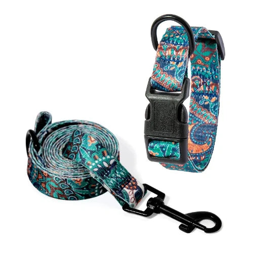 Collier Chihuahua : Collier + Laisse Motifs Colorés