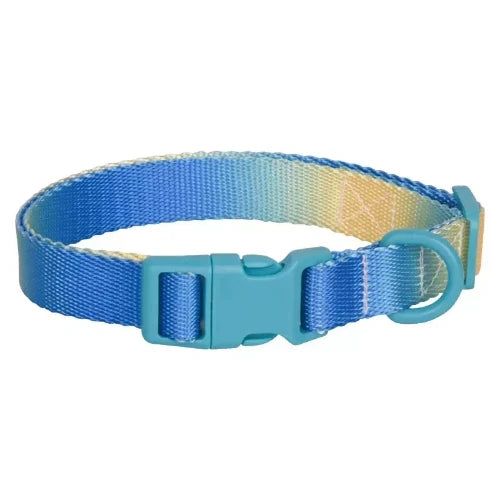 Chihuahua Collar: Blue Gradient