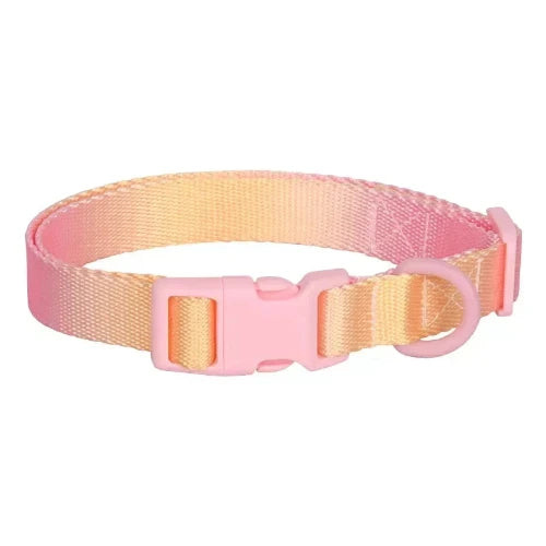 Chihuahua Collar: Pink Yellow Gradient