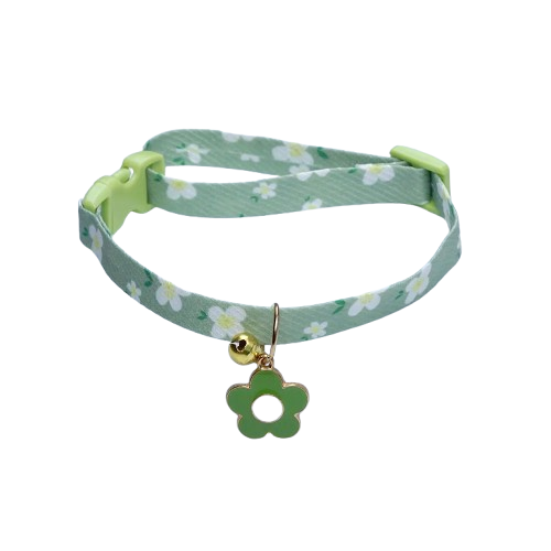 Collier Chihuahua : Fleurs Vert