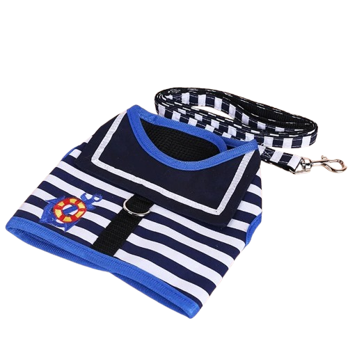 Chihuahua Harness: Blue Marine Leash + Leash