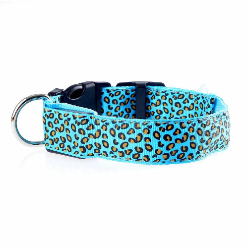 Chihuahua Collar: Blue LED Leopard Pattern